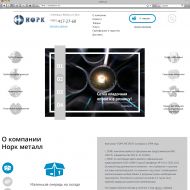 Разработка первого в РФ интернет-магазина металлопродукции «Норк Металл»